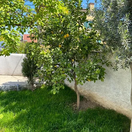 Daire Garden One Bedroom