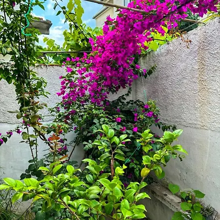 Apartment Garden One Bedroom