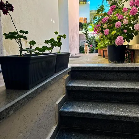 Garden One Bedroom Tirana