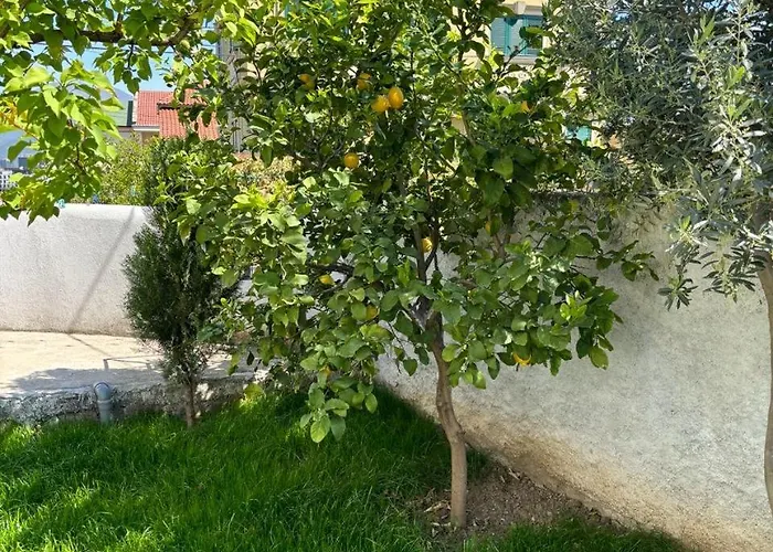 Apartment Garden One Bedroom