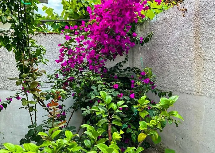 Appartement Garden One Bedroom