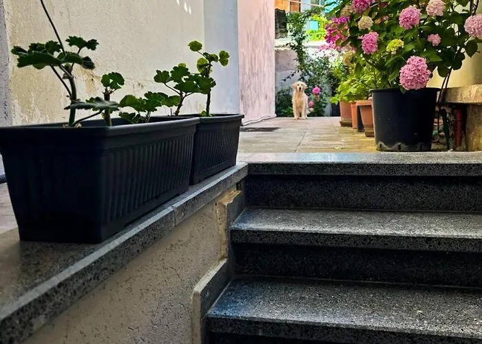 Garden One Bedroom Tirana